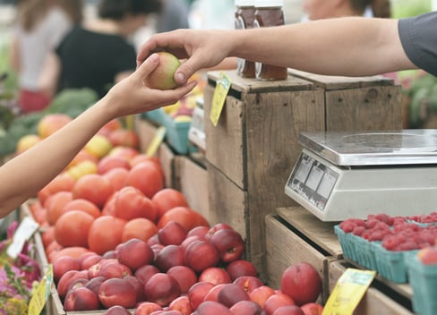 Markets in Jalón, discover the Mercado de la Tierra and many more!