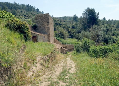 Ruta del Molí del Quisi en Benissa: patrimonio del agua y paisaje rural auténtico