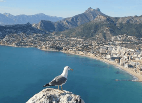 Cheap holidays in Calpe