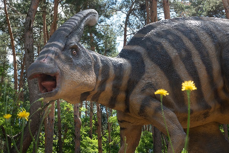 Dinopark &agrave; La Nuc&iacute;a