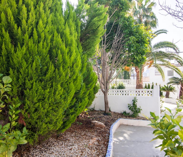 Alquiler de villa en Calpe BELVIC, piscina privada 4 pax en Calpe - Jardin