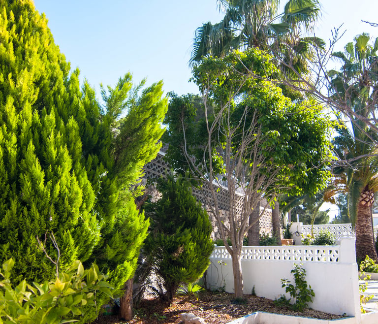 Alquiler de villa en Calpe BELVIC, piscina privada 4 pax en Calpe - Jardin