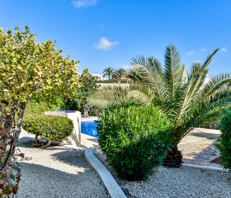 Alquiler de bungalow en Moraira, MEU LAR en Moraira - Jardin