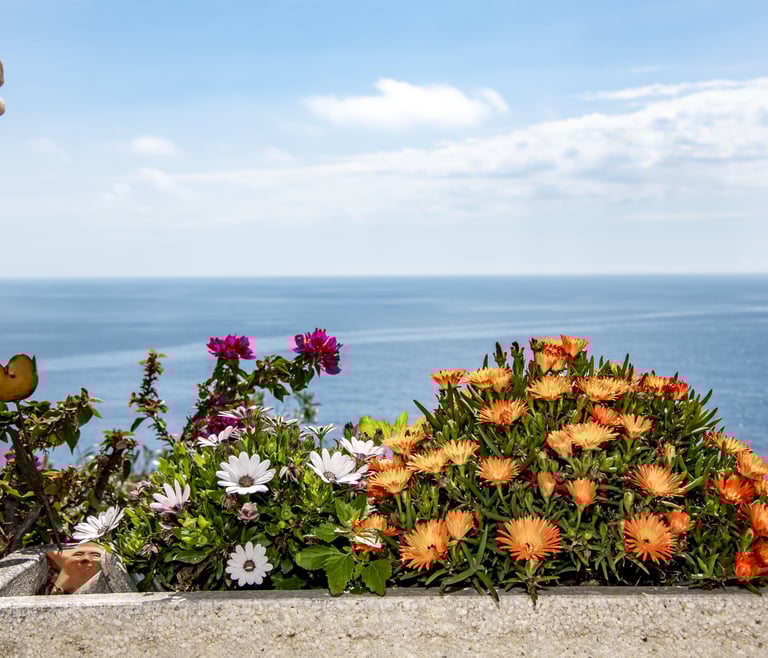 RAPHAEL, Preciosa villa para 6 pax con espectaculares vistas al mar en Benissa.wifi gratis en Benissa - Detalles