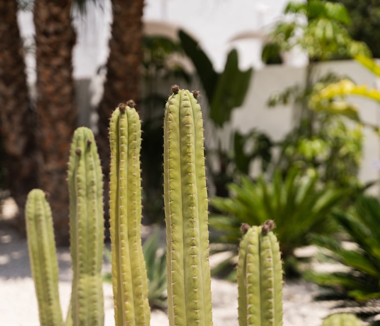Ferienhaus in Calpe ARTISTA in Calpe / Calp - Details