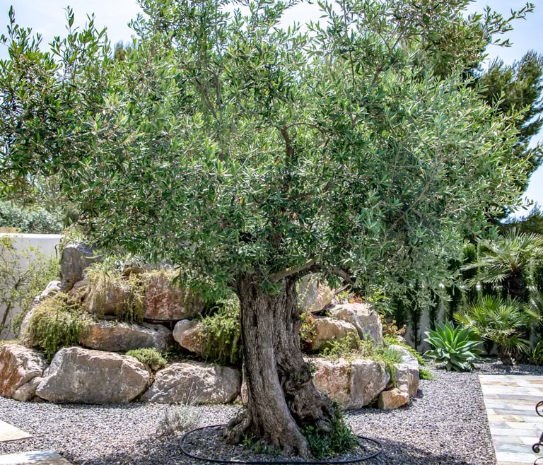 Alquiler de villa en Moraira, LA ROCALLA en Moraira - Detalles