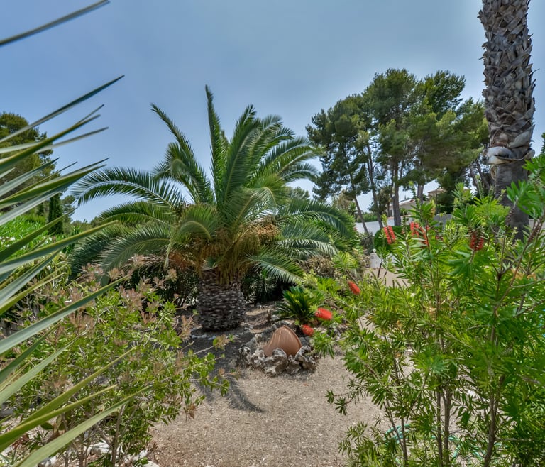 Villa à louer à Moraira, SEBASTIAN à Moraira - Jardin