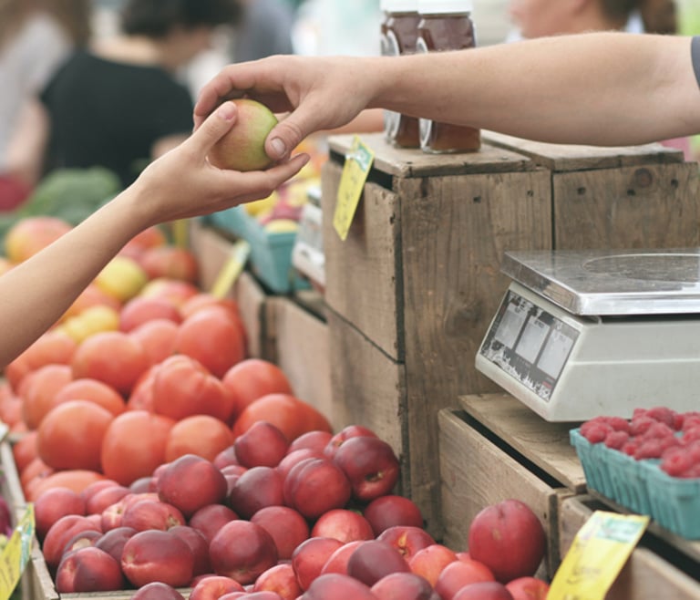 Markets in Jalón, discover the Mercado de la Tierra and many more!