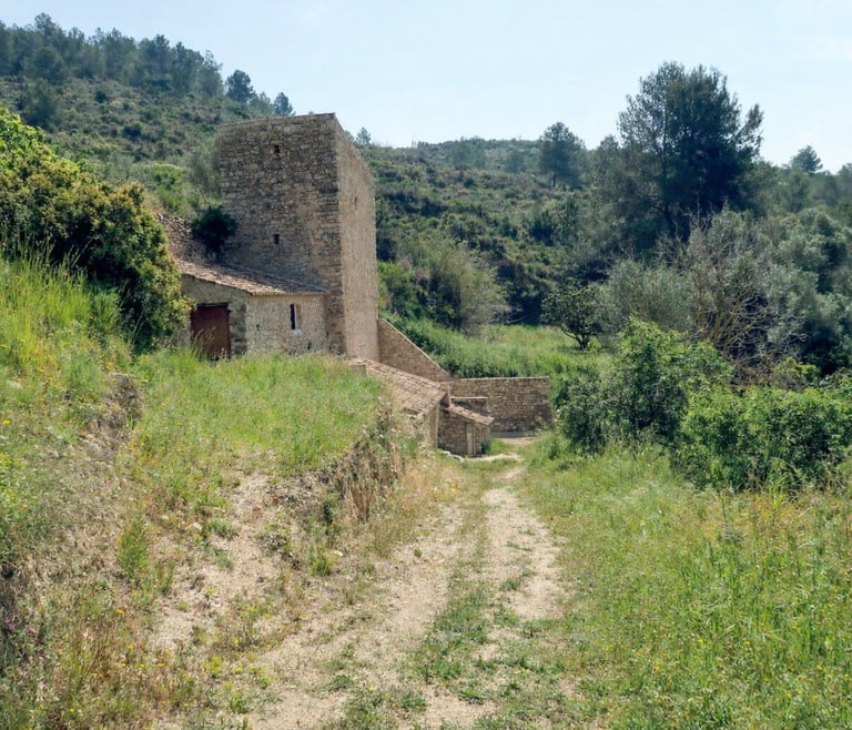 Ruta del Molí del Quisi en Benissa: patrimonio del agua y paisaje rural auténtico