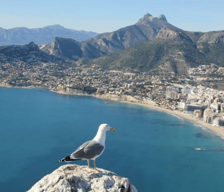 Cheap holidays in Calpe