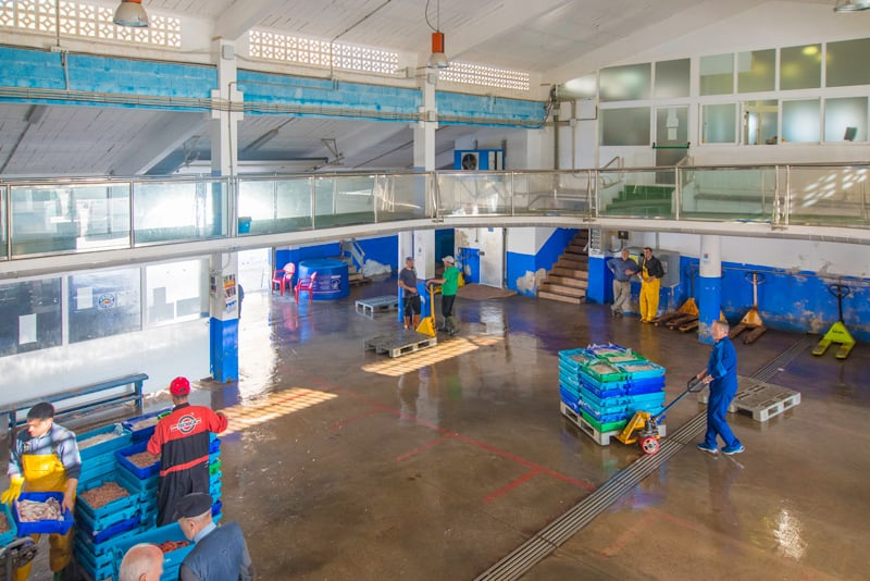 Lonja de Calpe descarga de pescado