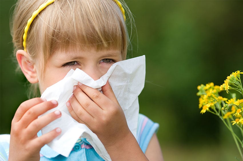 Traveling with allergies